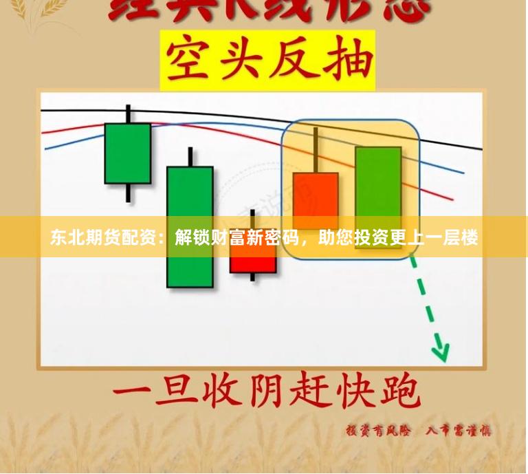 东北期货配资：解锁财富新密码，助您投资更上一层楼
