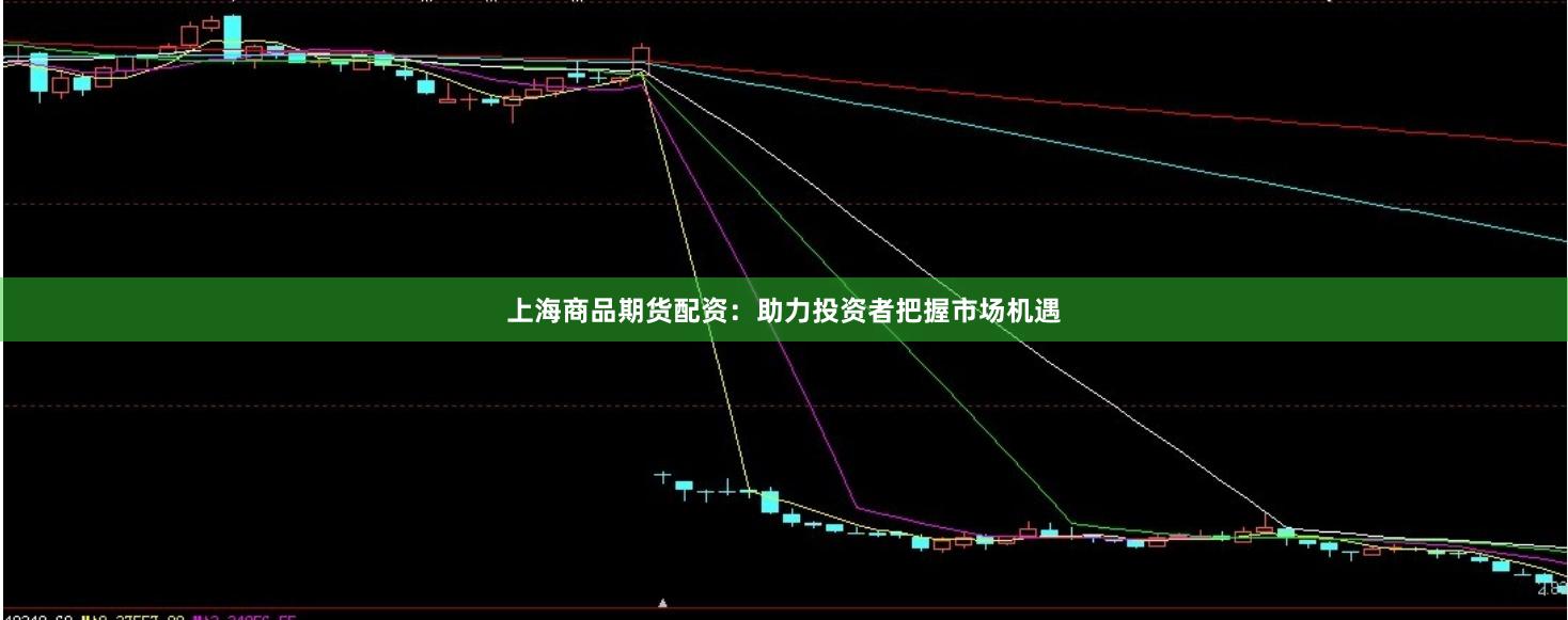 上海商品期货配资：助力投资者把握市场机遇